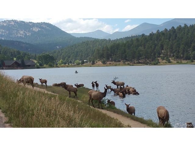 3025 Yucca Dr, Evergreen, CO 80439