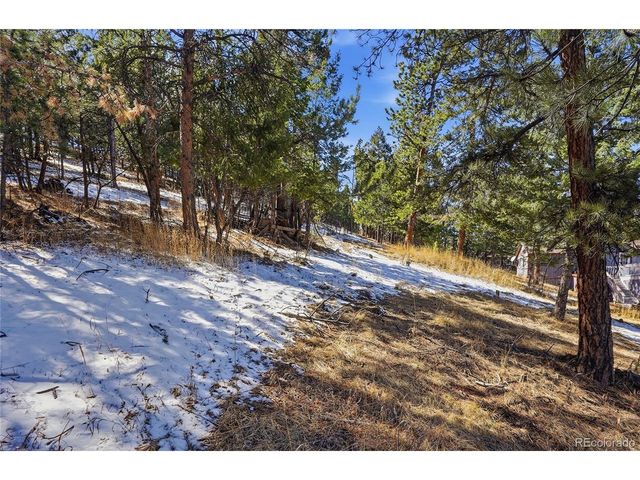 3025 Yucca Dr, Evergreen, CO 80439