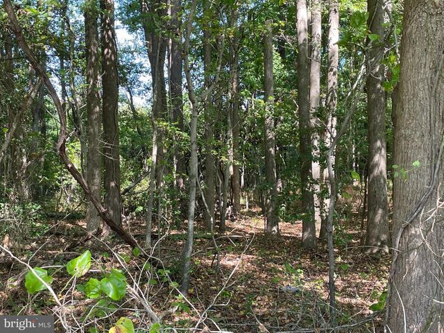 HILLBILLIE LN, Delmar, DE 19940