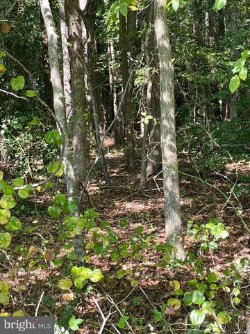 HILLBILLIE LN, Delmar, DE 19940