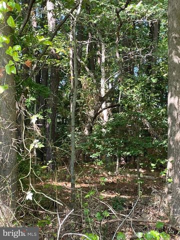 HILLBILLIE LN, Delmar, DE 19940