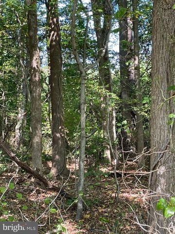 HILLBILLIE LN, Delmar, DE 19940