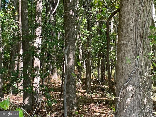 HILLBILLIE LN, Delmar, DE 19940