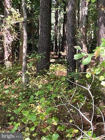 HILLBILLIE LN, Delmar, DE 19940