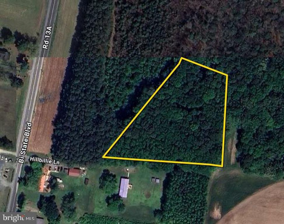 HILLBILLIE LN, Delmar, DE 19940