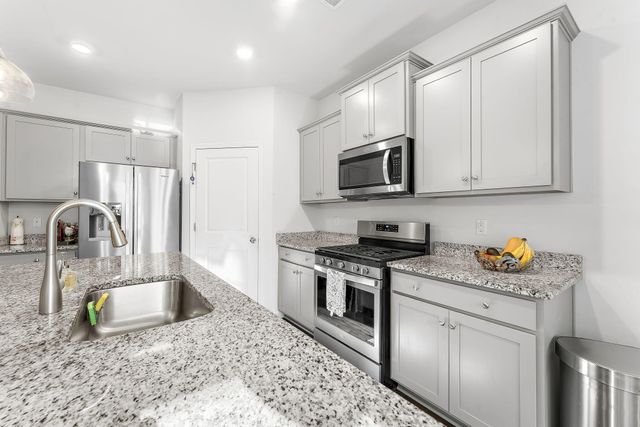 1035 Sago Palm Court, Mount Pleasant, SC 29466