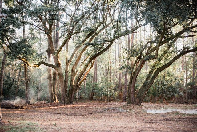 3480 Johan Boulevard, Johns Island, SC 29455