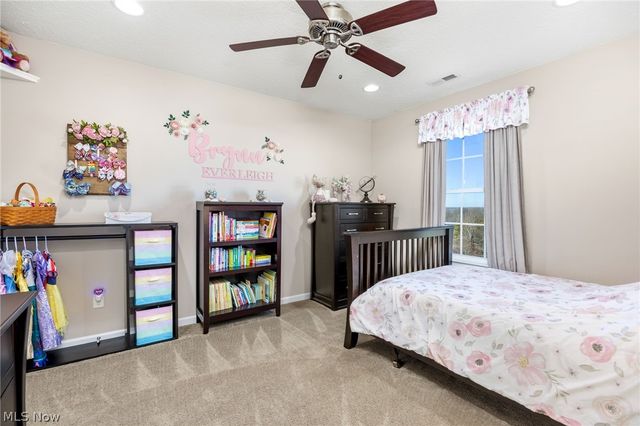 2664 Day Lily Lane, Medina, OH 44256