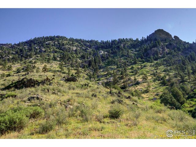 12547 County Road 43, Drake, CO 80515