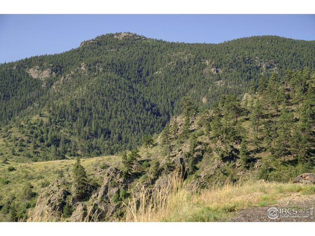 12547 County Road 43, Drake, CO 80515