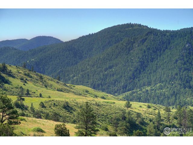 12547 County Road 43, Drake, CO 80515