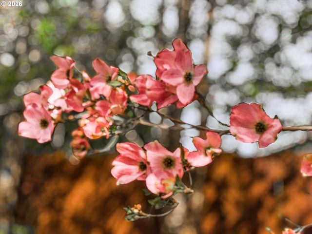 17200 LITTLEPAGE Ave, Sandy, OR 97055