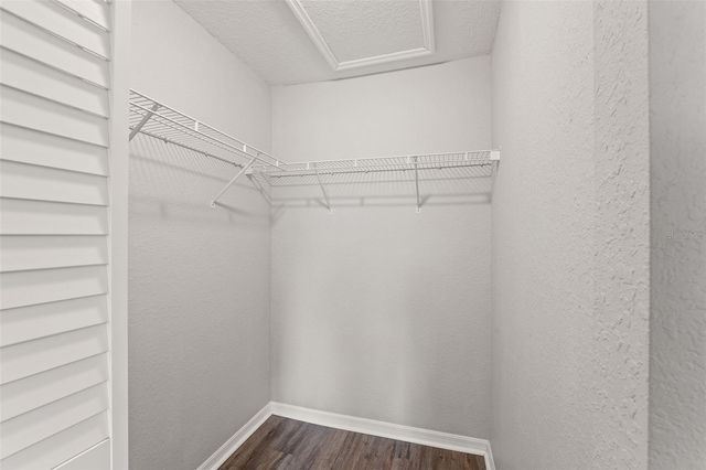 9042 LAKE CHASE ISLAND WAY, Tampa, FL 33626