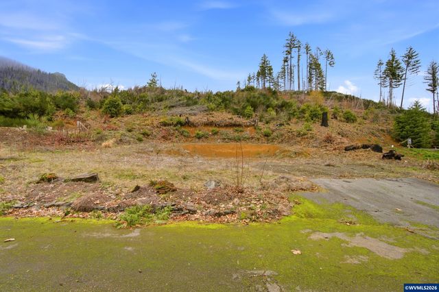 150 2nd St, Detroit, OR 97342