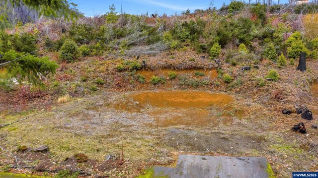 150 2nd St, Detroit, OR 97342