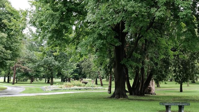 527 Mound Avenue, Mankato, MN 56001