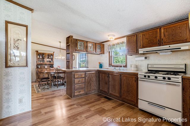 16856 Stanton Road, Pierson, MI 49339