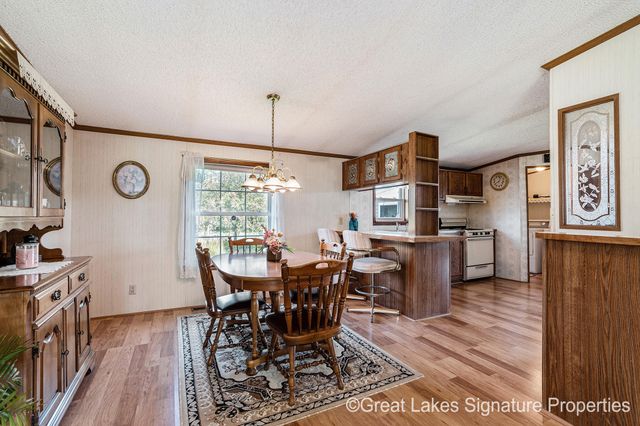 16856 Stanton Road, Pierson, MI 49339