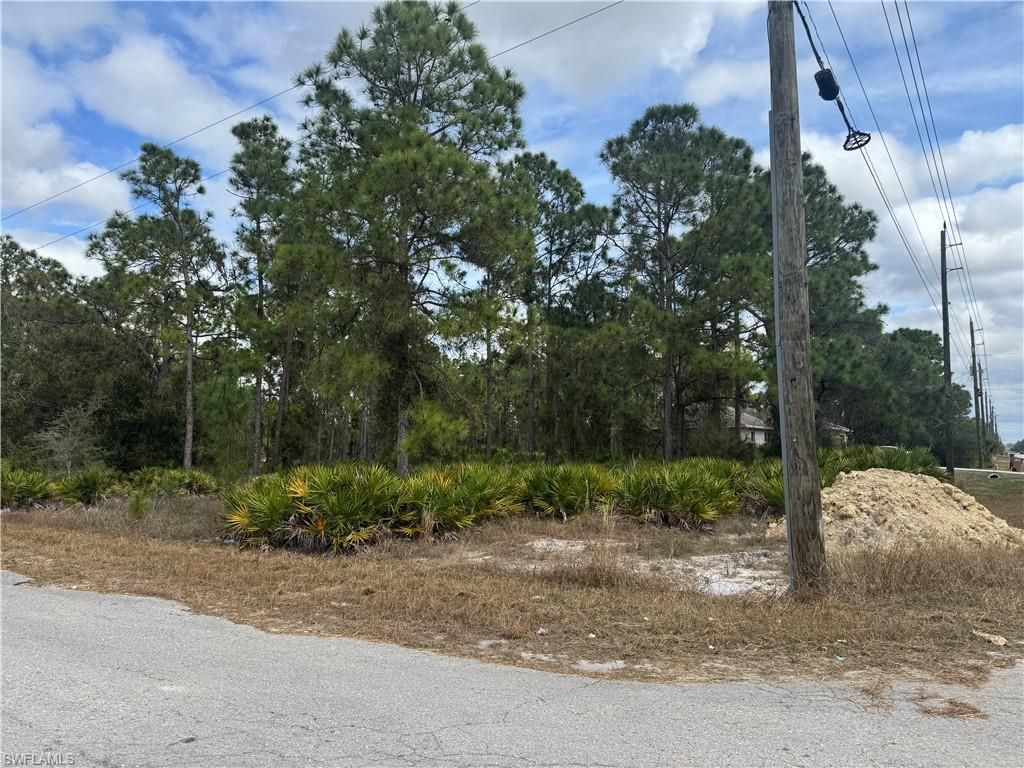 706 W 17th ST, LEHIGH ACRES, FL 33972 — photo 2