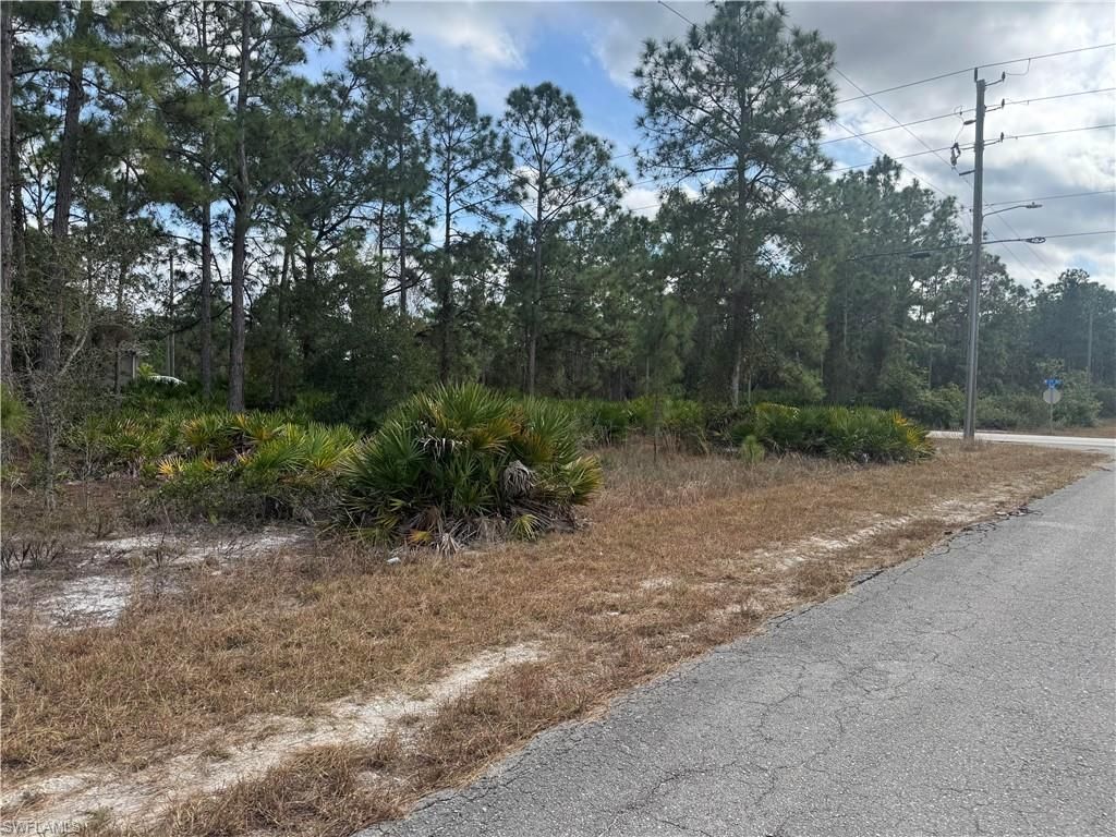 706 W 17th ST, LEHIGH ACRES, FL 33972 — photo 4