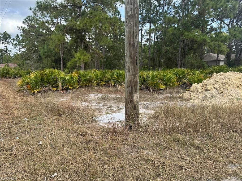 706 W 17th ST, LEHIGH ACRES, FL 33972 — photo 5