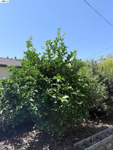 137 Viewmont Avenue, Vallejo, CA 94590