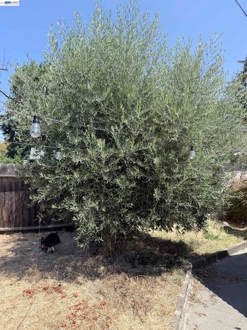 137 Viewmont Avenue, Vallejo, CA 94590
