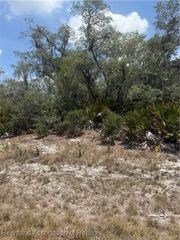 330 Matthews Street NW, Lake Placid, FL 33852