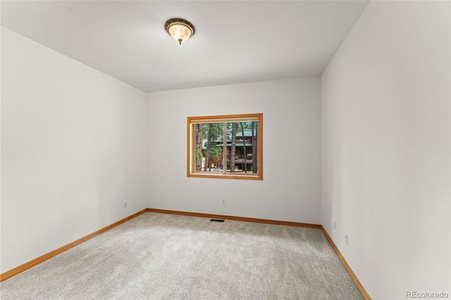 113 Flagstick Drive, Woodland Park, CO 80863