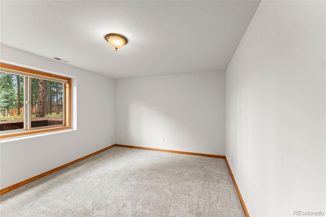 113 Flagstick Drive, Woodland Park, CO 80863