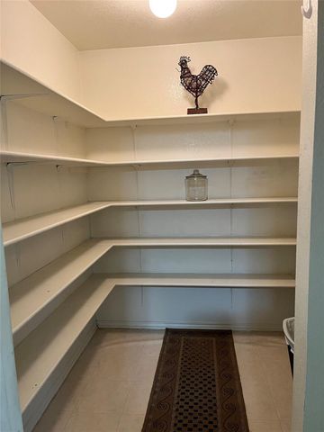 108 Bexar Forest CV, Elgin, TX 78621