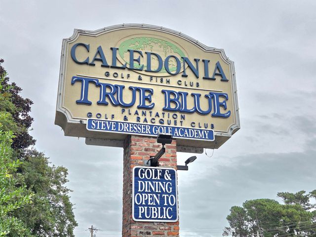 1125 Blue Stem Dr Unit 29C, Pawleys Island, SC 29585