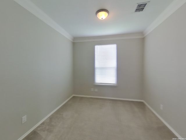 10019 Placid Bay, San Antonio, TX 78245