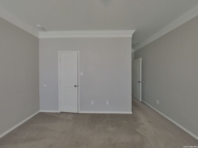 10019 Placid Bay, San Antonio, TX 78245