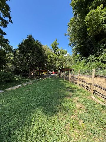 2555 Junaluska Road, Andrews, NC 28901