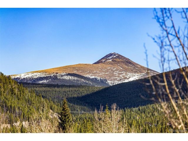 28 North Rd, Breckenridge, CO 80424