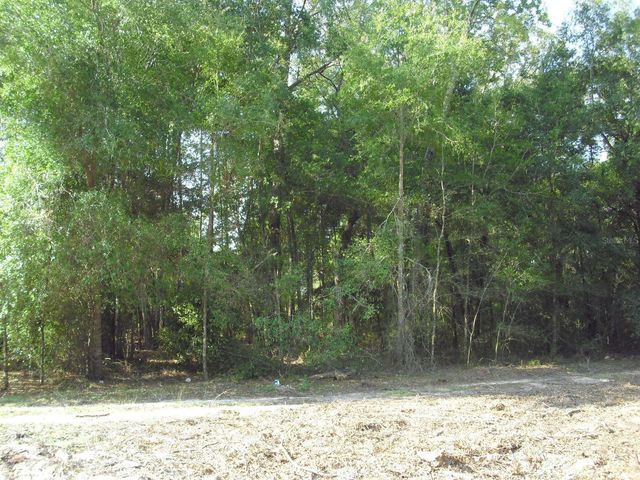 Lot 6 SW 23RD PLACE, Ocala, FL 34481