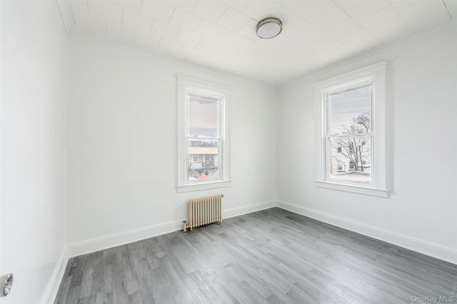 7824 68th Road, Middle Village, NY 11379