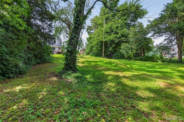 1318 Graham Street, St Louis, MO 63139