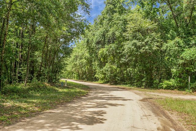 343 Capers Road, Walterboro, SC 29488