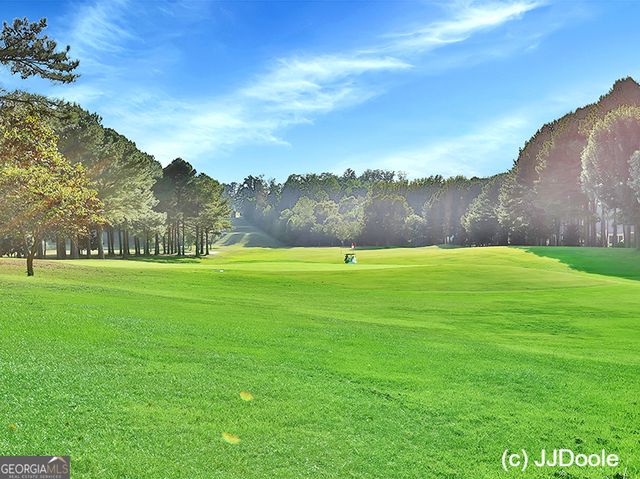 294 Horizon Hill, Newnan, GA 30265