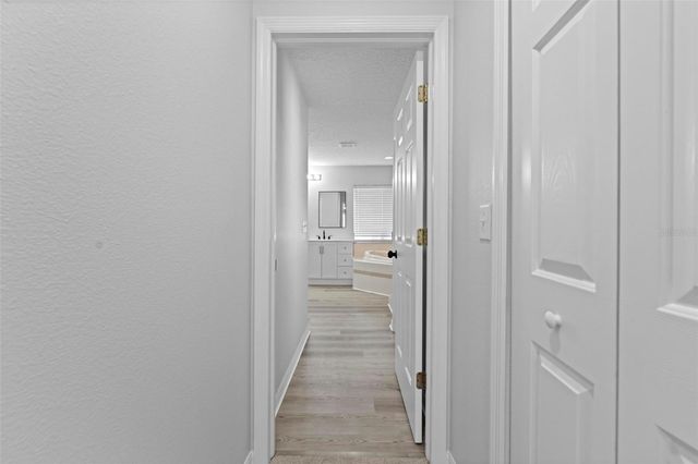 25131 GEDDY DRIVE, Land O Lakes, FL 34639