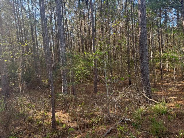 Tract 107 Hwy 156, Coldspring, TX 77331
