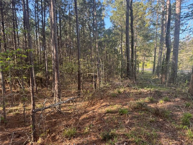 Tract 107 Hwy 156, Coldspring, TX 77331