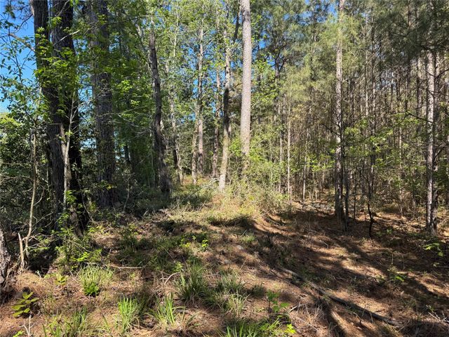 Tract 107 Hwy 156, Coldspring, TX 77331