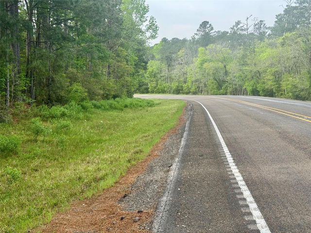 Tract 107 Hwy 156, Coldspring, TX 77331