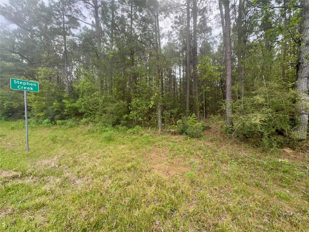 Tract 107 Hwy 156, Coldspring, TX 77331