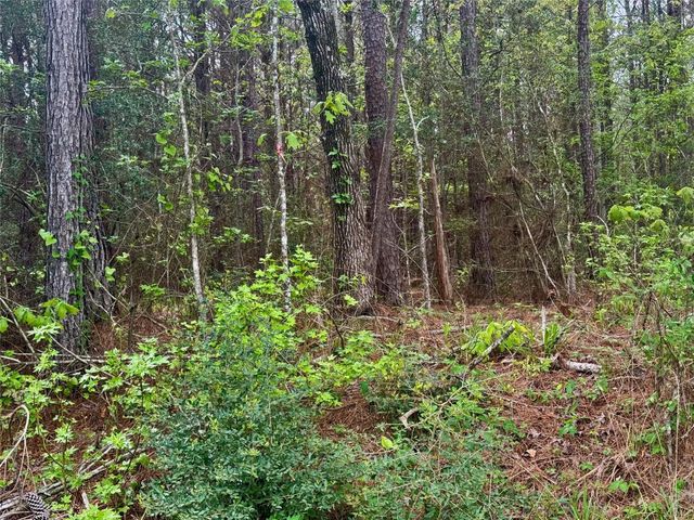 Tract 107 Hwy 156, Coldspring, TX 77331