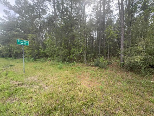 Tract 107 Hwy 156, Coldspring, TX 77331