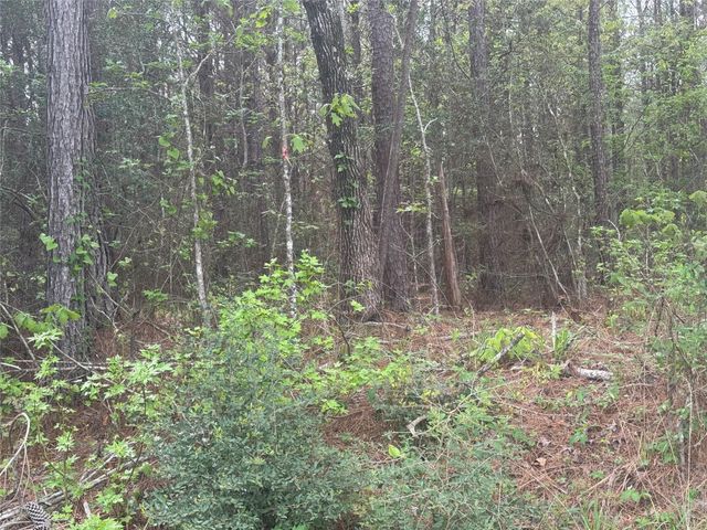 Tract 107 Hwy 156, Coldspring, TX 77331